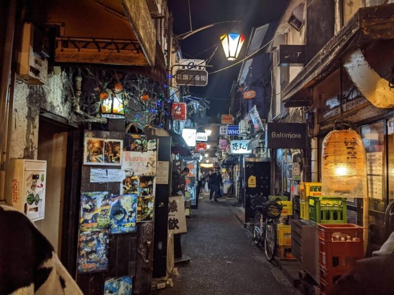 Tokyo: Shinjuku Golden Gai Bar Hopping that only locals know - Who Should Consider This Tour?