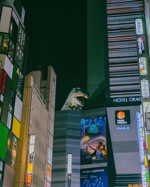 Tokyo: Shinjuku Guys' Night Out Tour (Eat, Drink, & Mingle) - Final Words