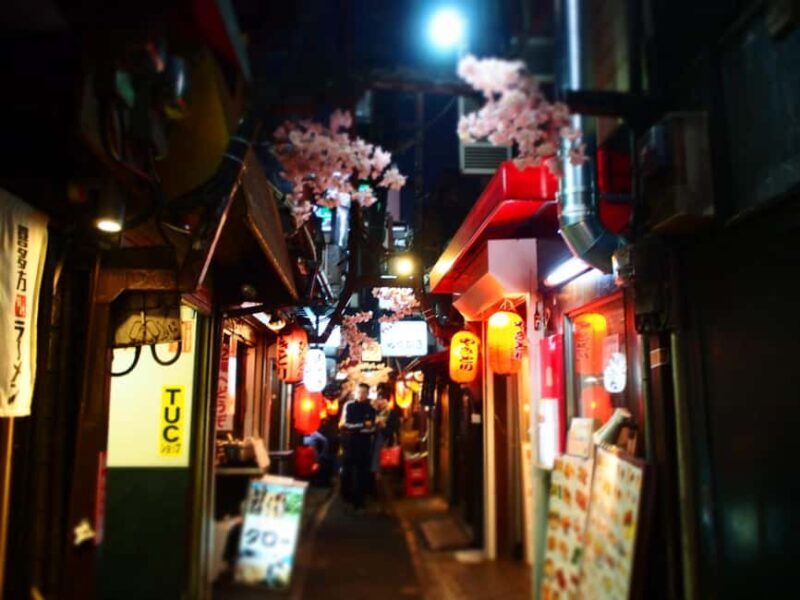 Tokyo: Shinjuku Izakaya Night Hopping Tour - Final Thoughts