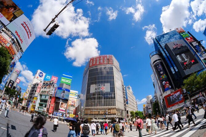 Tokyo: Shinjuku & Shibuya Walking Tour City Highlights - Key Points