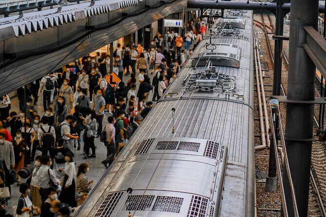 Tokyo: Shinjuku & Shibuya Walking Tour City Highlights - The Itinerary Breakdown: What You Can Expect