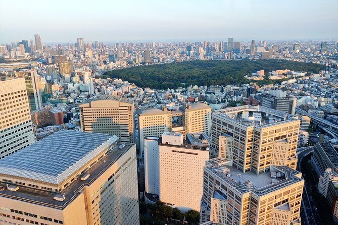 Tokyo: Shinjuku & Shibuya Walking Tour City Highlights - The Sum Up: Who Will Love This Tour?