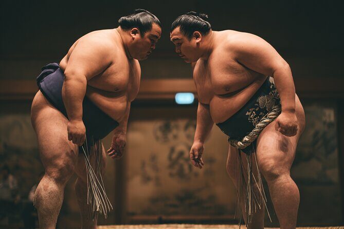 Tokyo Shinjuku Sumo Show and Experience with Drinks and Photo - Who Should Consider This Tour?
