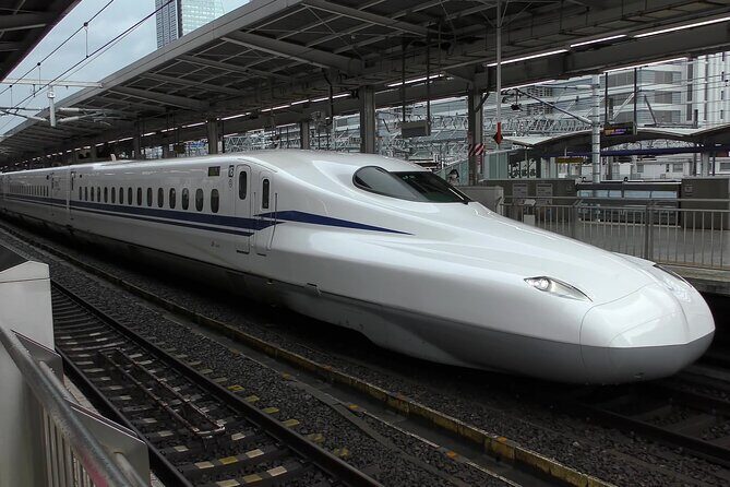 Tokyo, Shinkansen, Disneyland, Yokohama, City to City Transfer - Vehicle Options and Luggage Considerations