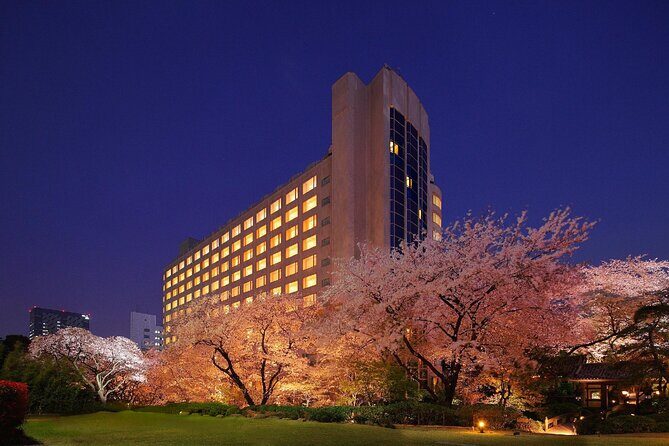 Tokyo, Shinkansen, Disneyland, Yokohama, City to City Transfer - Who Should Book This Transfer?