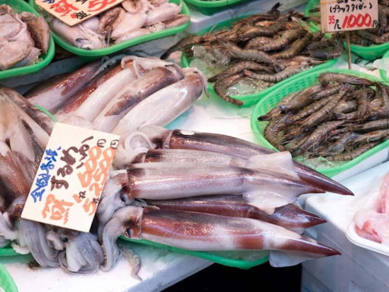 Tokyo Shopping Street Private Tour Government Licensed Guide - The Sum Up
