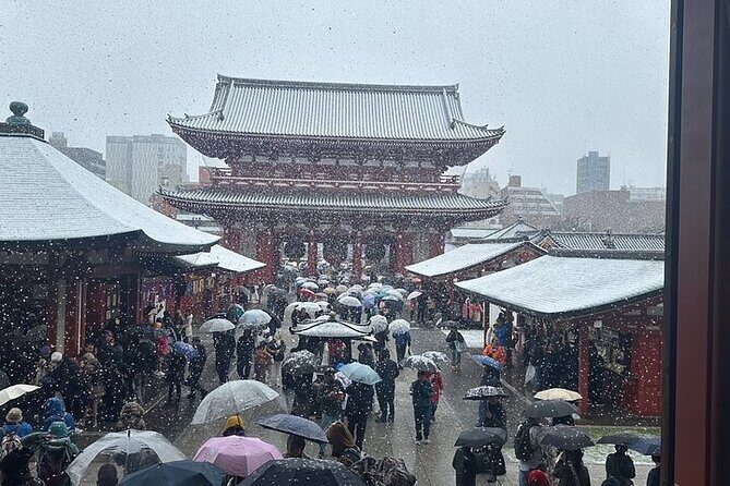 Tokyo Sightseeing/ City Tour by Private Car with English Guide - FAQ