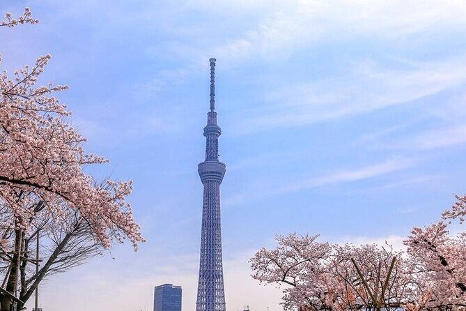 Tokyo Skytree Japan E-Ticket for Admission - The Experience: Views, Crowds, and Safety