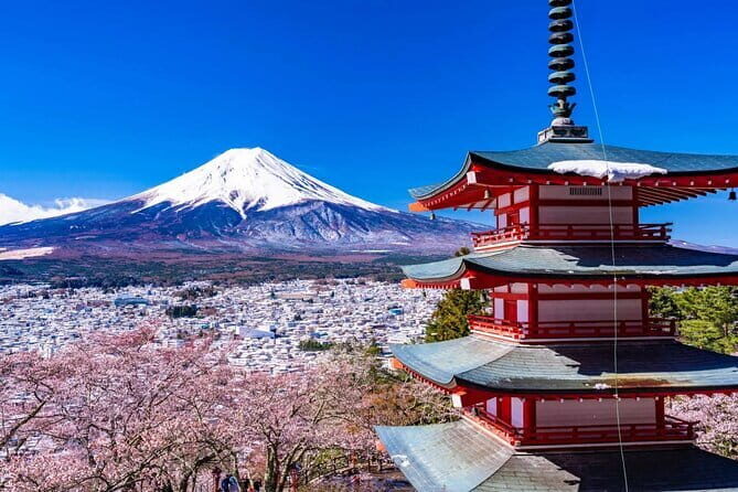 Tokyo Small Group Tour with Guide - FAQs