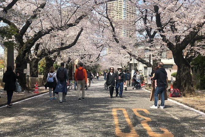 Tokyo Spring Daytime (Cherry Blossom) Food Tour - Exploring Local Trees and Hidden Spots