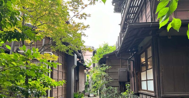 Tokyo : Stroll in the Old traditional town~Yanaka & Nezu - Key Points