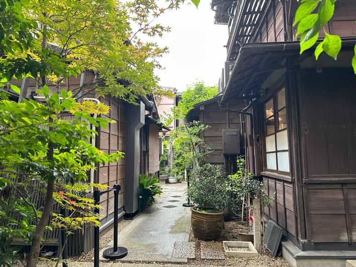Tokyo : Stroll in the Old traditional town~Yanaka & Nezu - A Deep Dive into the Experience