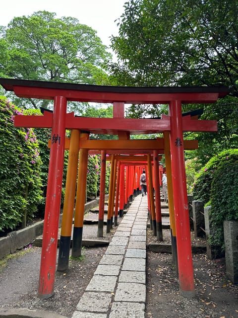 Tokyo : Stroll in the Old traditional town~Yanaka & Nezu - Final Thoughts