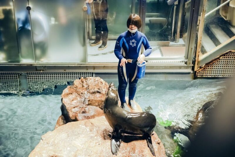 Tokyo: Sumida Aquarium Entry Ticket - The Cost and Value