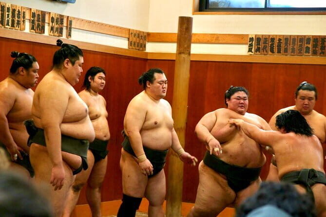 Tokyo Sumo Morning Practice & Exclusive Behind-the-Scenes Access - Who Will Love This Tour?