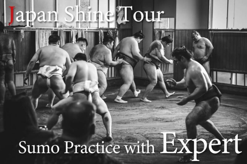 Tokyo: Sumo Morning Practice Tour with Expert Reporter - Who This Tour Is Best For