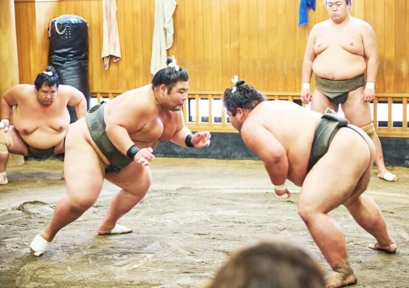 Tokyo: Sumo Morning Practice Viewing Tour at a Real Stable - An In-Depth Look at the Sumptuous Experience