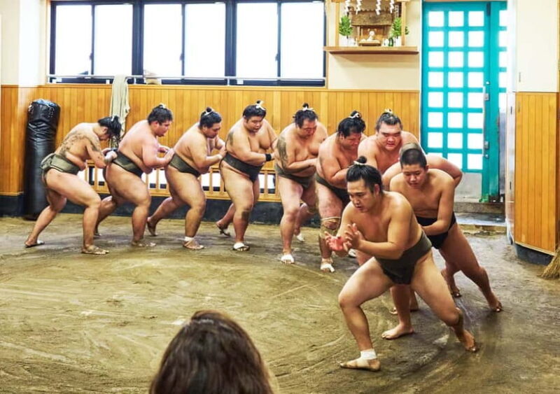 Tokyo: Sumo Morning Practice Viewing Tour at a Real Stable - Who Will Appreciate This Tour?