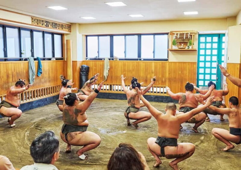 Tokyo: Sumo Morning Practice Viewing Tour at a Real Stable - The Sum Up: Who Is This Tour For?
