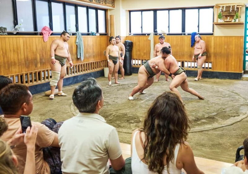 Tokyo: Sumo Morning Practice Viewing Tour at a Real Stable - FAQ: Your Practical Queries Answered