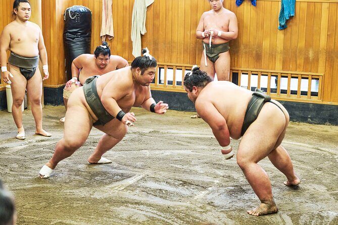 Tokyo: Sumo Morning Practice Viewing Tour at a Real Stable - An Authentic Glimpse into Japan’s National Sport