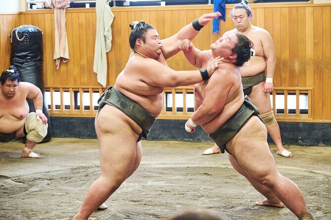 Tokyo: Sumo Morning Practice Viewing Tour at a Real Stable - What to Expect During the Tour