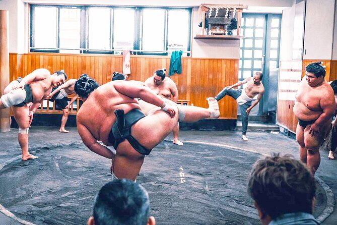 Tokyo: Sumo Morning Practice Viewing Tour at a Real Stable - Who Should Book This Tour?