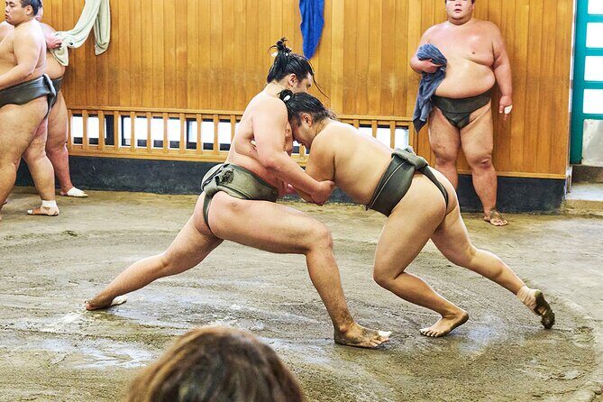 Tokyo: Sumo Morning Practice Viewing Tour at a Real Stable - Final Thoughts