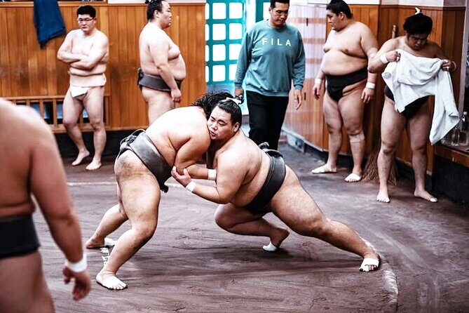 Tokyo: Sumo Morning Practice Viewing Tour at a Real Stable - FAQ