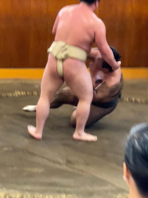 Tokyo: Sumo Morning Practice with Photo Banzuke and Guide - FAQs