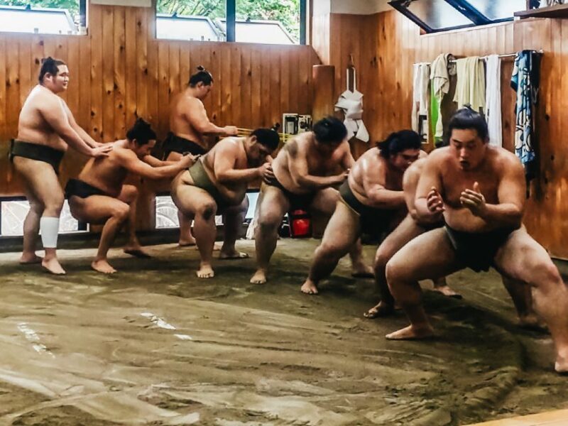 Tokyo: Sumo Morning Training Visit - Price and Value