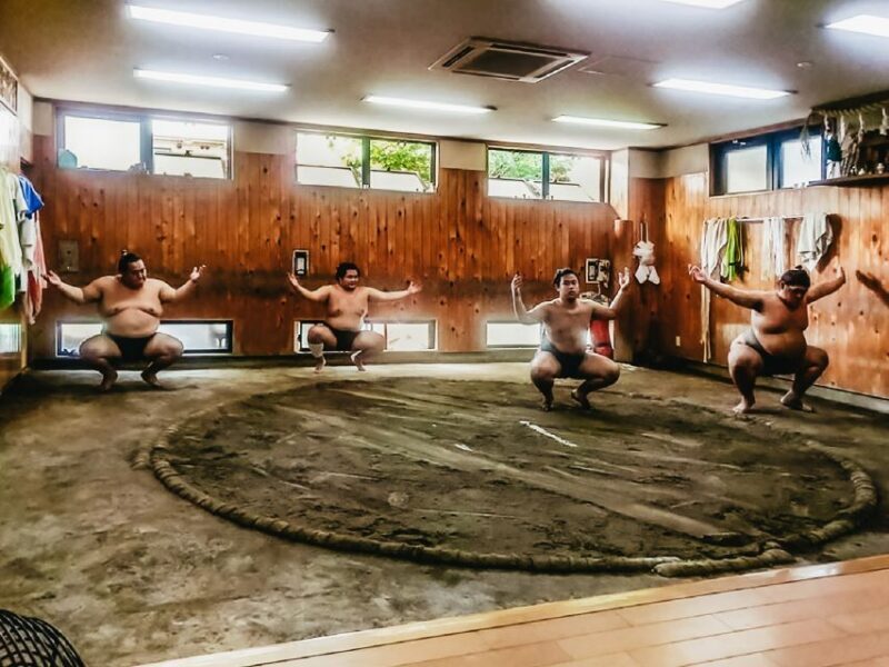 Tokyo: Sumo Morning Training Visit - Accessibility and Practical Tips