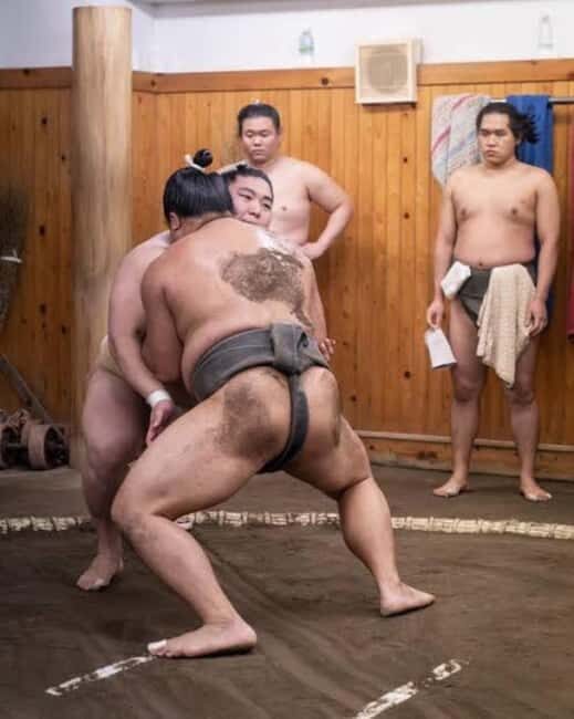 Tokyo: Sumo Show and Experience in Shinjuku - Tokyo: Sumo Show and Experience in Shinjuku — A Practical Guide