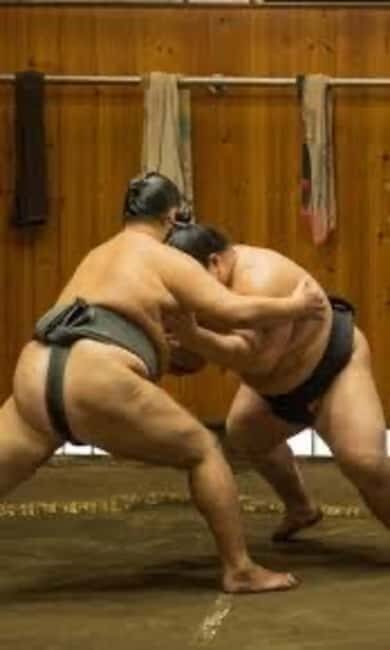 Tokyo: Sumo Show and Experience in Shinjuku - An In-Depth Look at the Sumo Experience