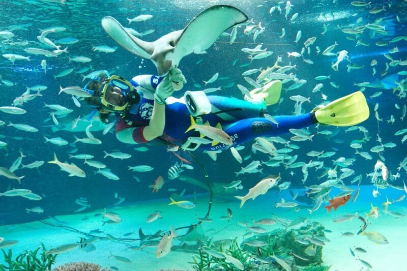 Tokyo: Sunshine Aquarium Entry Ticket - The Experience in Detail