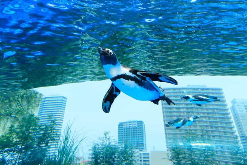Tokyo: Sunshine Aquarium Entry Ticket - Practical Tips for Visiting