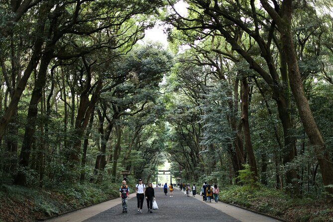 Tokyo Tailored 4 Hours Private Guided Tour - Final Thoughts: Who Should Consider This Tour?