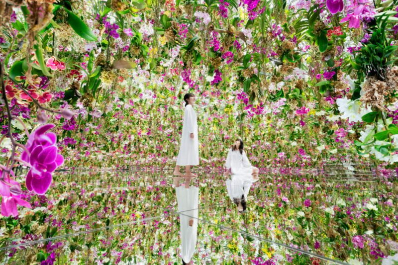 Tokyo: teamLab Planets TOKYO Digital Art Museum Entry Ticket - An Introduction to teamLab Planets TOKYO