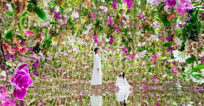 Tokyo: teamLab Planets TOKYO Digital Art Museum Entry Ticket - The Value of the Experience