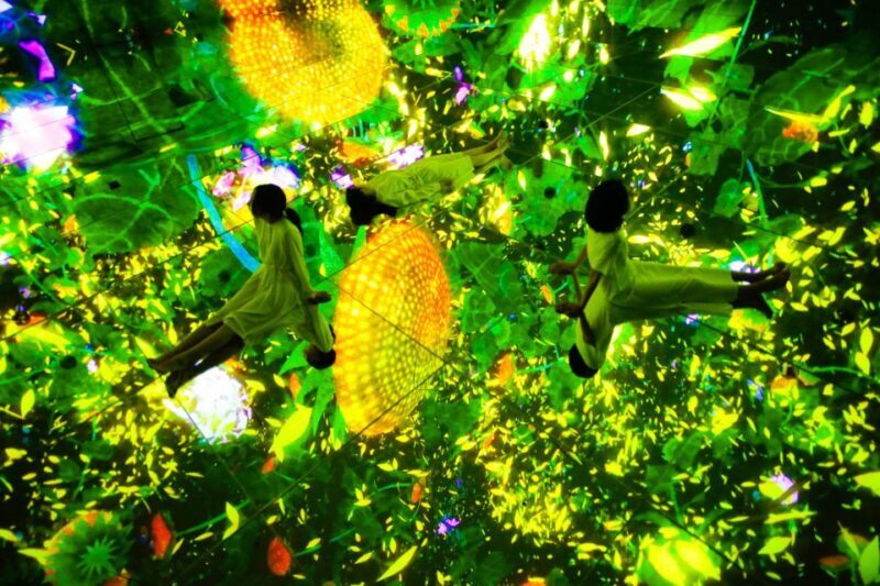 Tokyo: teamLab Planets TOKYO Digital Art Museum Entry Ticket - Who Should Visit