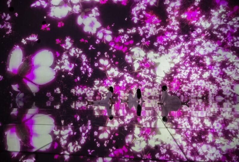 Tokyo: teamLab Planets TOKYO Digital Art Museum Entry Ticket - The Sum Up