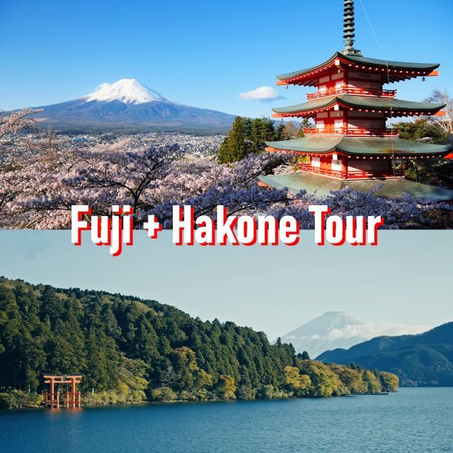 Tokyo to Mount Fuji and Hakone: Private Full-Day Tour - Key Points