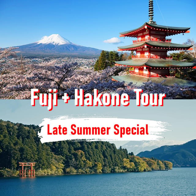 Tokyo to Mount Fuji and Hakone: Private Full-Day Tour - An In-Depth Look at the Tour Itinerary