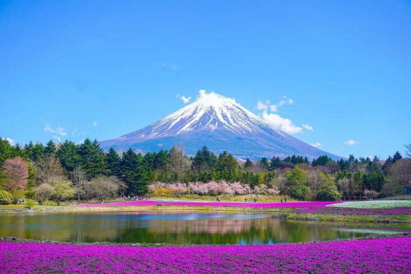 Tokyo To Mount FUJI Day Trip With English guide - What to Expect on the Day