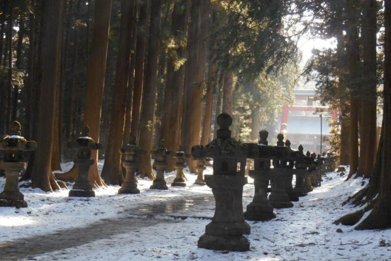 Tokyo To Mount FUJI Day Trip With English guide - Authentic Experiences That Make It Special