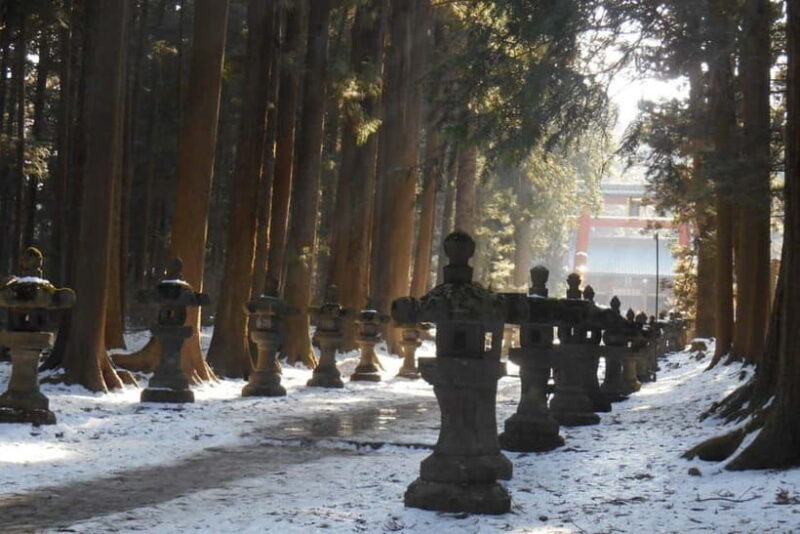 Tokyo To Mount FUJI Day Trip With English guide - FAQ