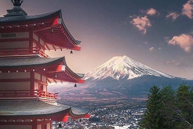 Tokyo To Mount Fuji Private English Guided Day Tour - Key Points