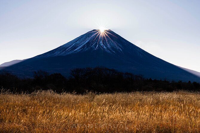 Tokyo To Mount Fuji Private English Guided Day Tour - A Detailed Review of the Tour Experience