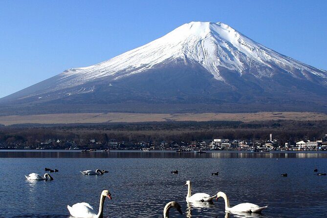 Tokyo To Mount Fuji Private English Guided Day Tour - Oshino Hakkai