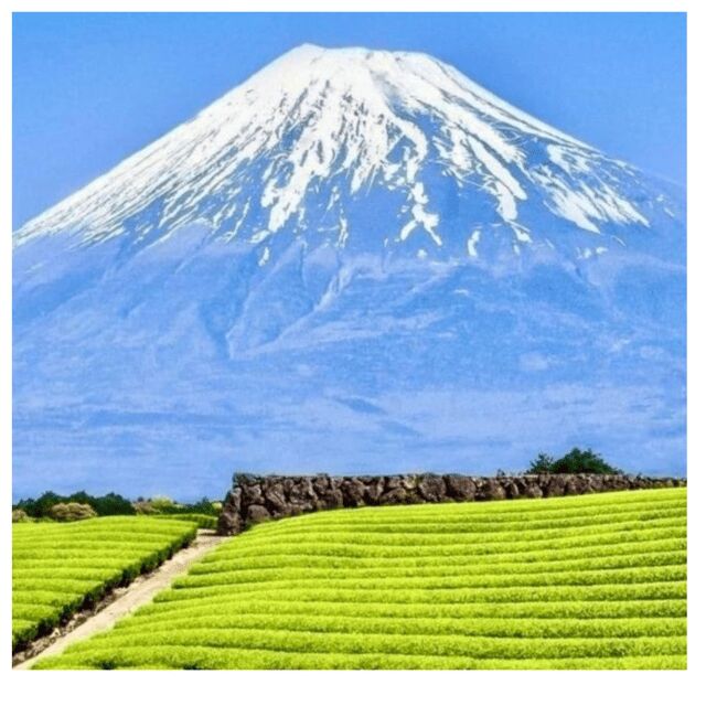 Tokyo to Mt. Fuji & Hakone: Private Customizable Day Trip - Discovering Japan’s Icon: Tokyo to Mt. Fuji & Hakone Private Day Trip